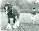 Agriculture: Machinery and Implements - Vintage Photograph