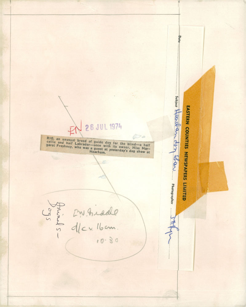 Blindness - Vintage Photograph