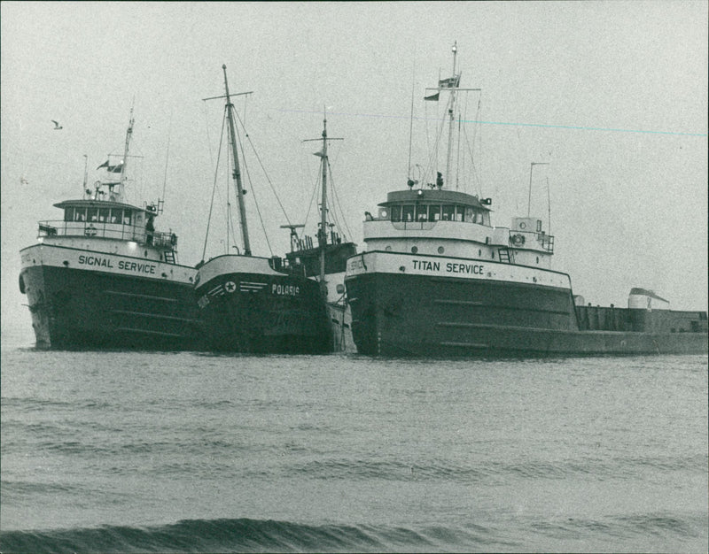 Ships: Tugs 'T' - Vintage Photograph