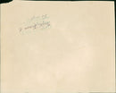 Oil tanker British Architect - Vintage Photograph