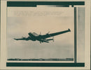 Aircraft: Military: Shackleton aircraft - Vintage Photograph