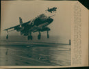Aircraft: Military: Sea Harrier aircraft - Vintage Photograph