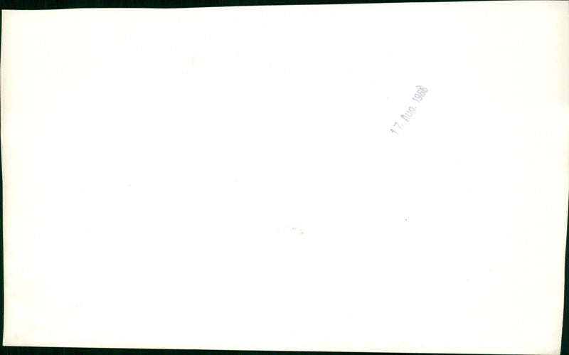 1966 PINN MILITARY PRESS AIRCRAFT - Vintage Photograph