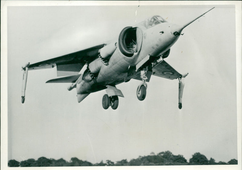 Aircraft: Military: Kestrels - Vintage Photograph