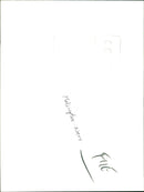 Helicopters Navy - Vintage Photograph