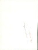 Helicopters Navy - Vintage Photograph