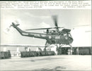 Helicopters Navy - Vintage Photograph