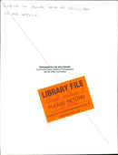 Aircraft: Military - Vintage Photograph