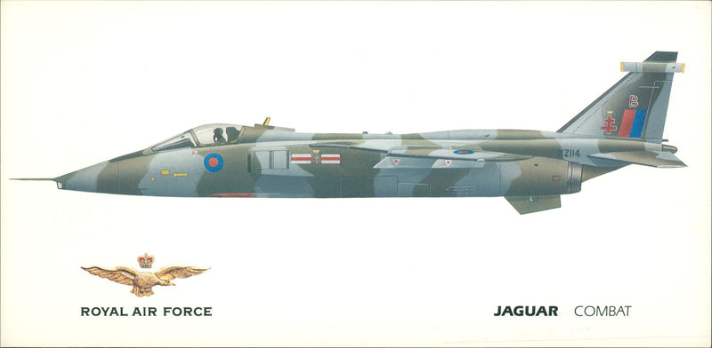 Aircraft: Military: Jaguar Combat - Vintage Photograph