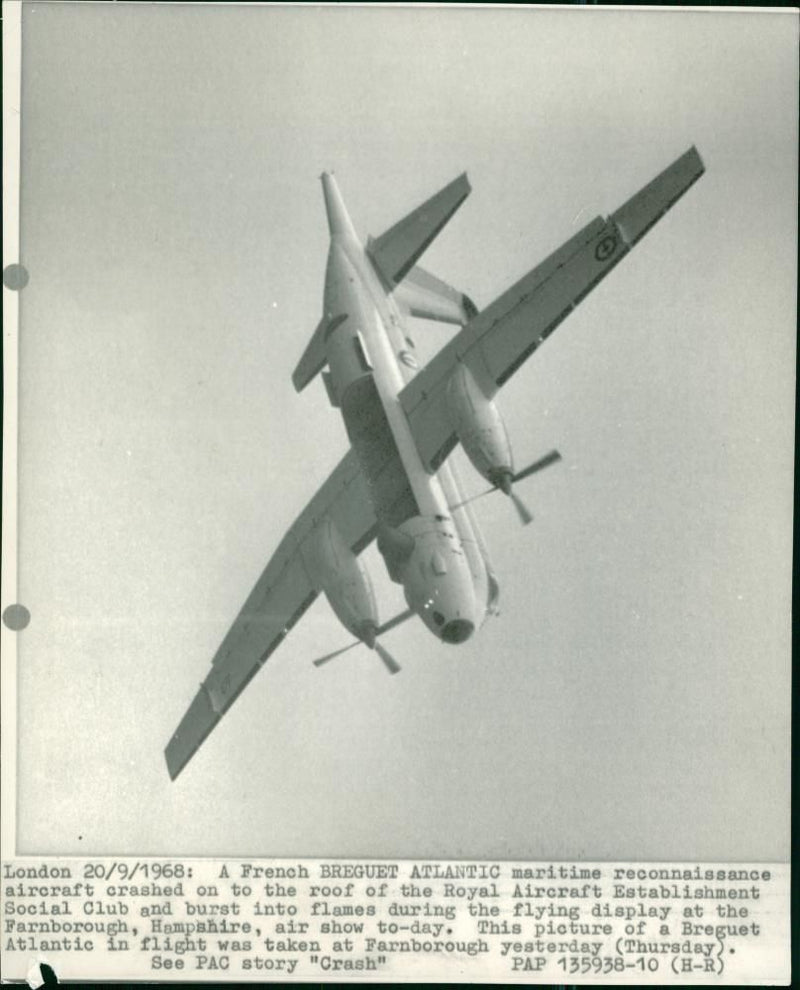 Aircraft crashed. - Vintage Photograph