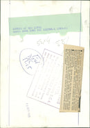 Aircraft military. - Vintage Photograph