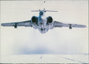 The Tucano - Vintage Photograph