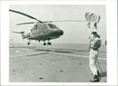 Helicopters Navy - Vintage Photograph