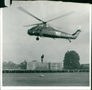 Helicopters Navy - Vintage Photograph