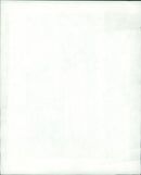 Aircraft: Civil: Air Europe Planes - Vintage Photograph