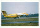 Aircraft: Civil: Buzz Plane - Vintage Photograph