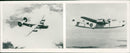 Military aircraft - Vintage Photograph