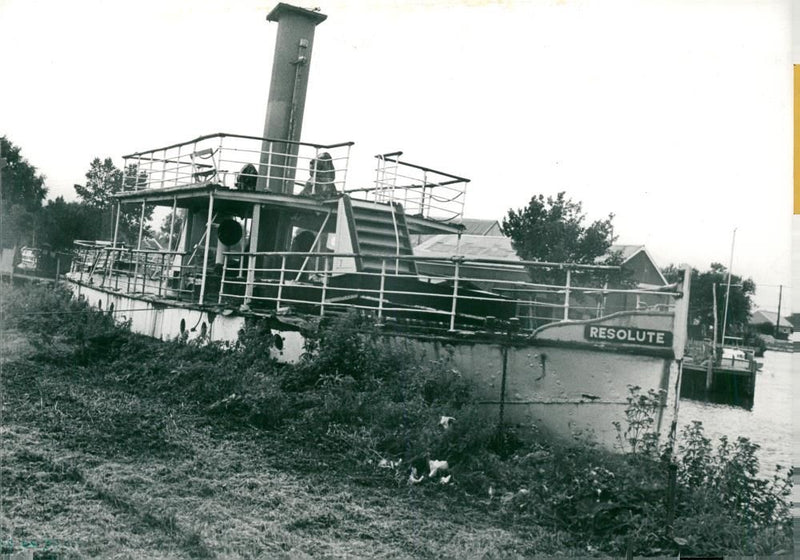 A photograph of steam ships boats . - Vintage Photograph