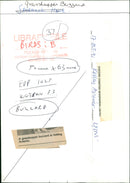 Birds - Vintage Photograph