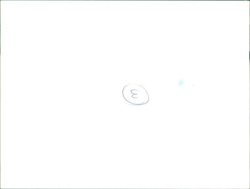 Fruit: Bell Pepper - Vintage Photograph