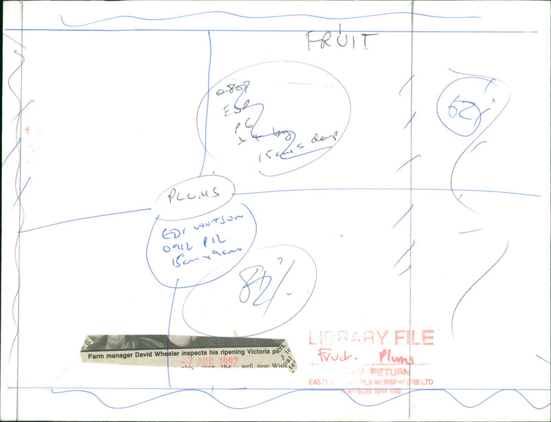 Fruit: Farm Manager David Wheeler - Vintage Photograph