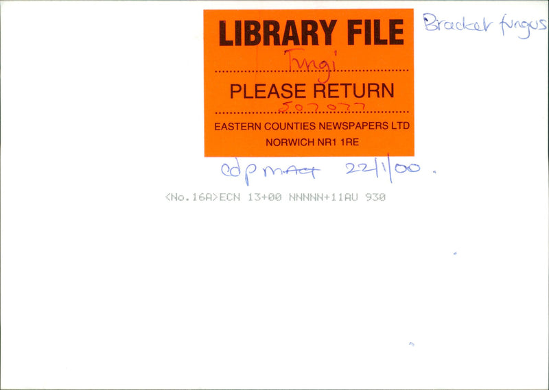 FUNGI - Vintage Photograph