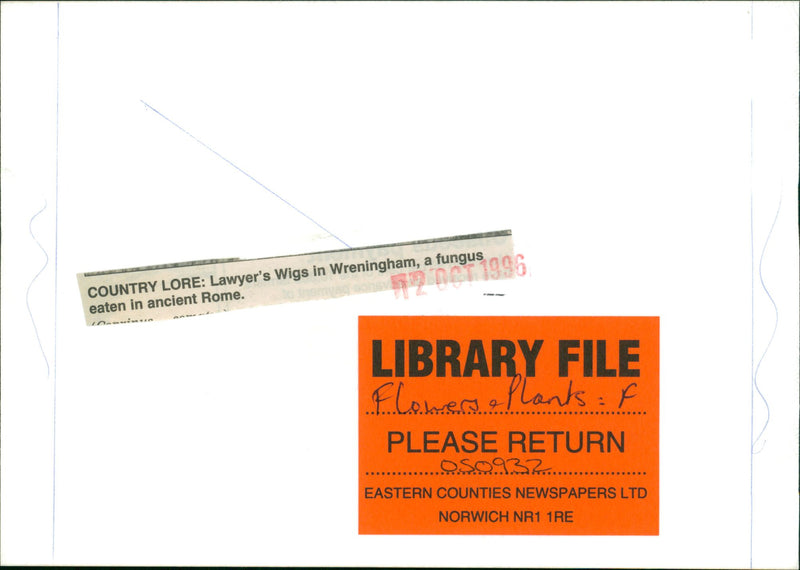 LAWYER'S WIGS IN WRENINGHAM,IENT ROME A FUNGUS EATEN IN ANCIENT ROME - Vintage Photograph