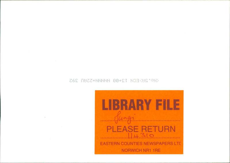 FUNGI - Vintage Photograph