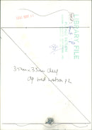 Fruit: Pear - Vintage Photograph