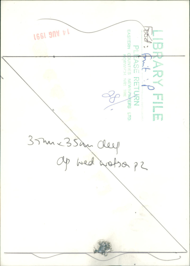 Fruit: Pear - Vintage Photograph