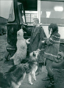 Ruben and christina with dogs and pet. - Vintage Photograph