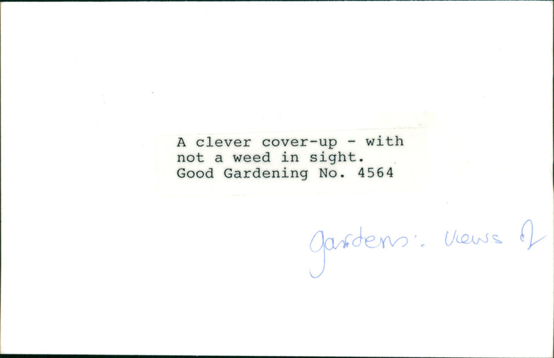 Good Gardening - Vintage Photograph