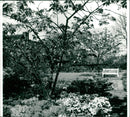View of HTA Easy Gardening - Vintage Photograph