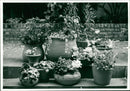 HTA Easy Gardening Campaign - Vintage Photograph
