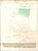 Animals - Vintage Photograph