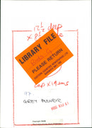 Grey Plover. - Vintage Photograph