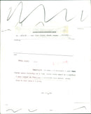 Pink footed geese. - Vintage Photograph