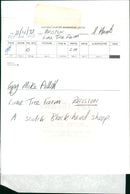 Animals : Sheep - Vintage Photograph