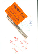 Animals : Sheep - Vintage Photograph