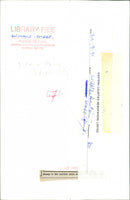 Animals : Sheep - Vintage Photograph