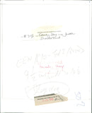 Animals : Sheep - Vintage Photograph