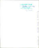 Animals : Sheep - Vintage Photograph