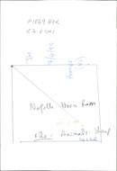 Animals : Sheep - Vintage Photograph