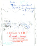 Animals : Sheep - Vintage Photograph