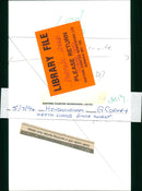 Animals : Sheep - Vintage Photograph