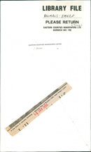 Animals : Sheep - Vintage Photograph