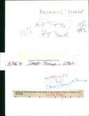 Animals : Sheep - Vintage Photograph