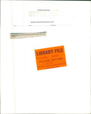 Animals: Seals - Vintage Photograph