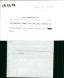 Animals: Seals - Vintage Photograph