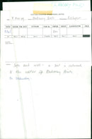 Animals: Seals - Vintage Photograph